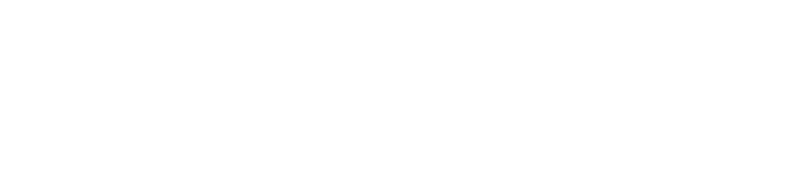 VOID OK Logo in White